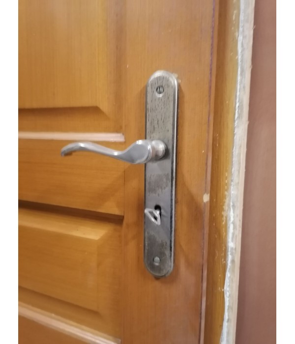 63x204 Portes bois panneaux (n15)