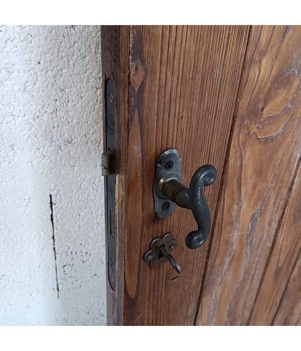 72.6x203.5 Porte intérieure bois mixte