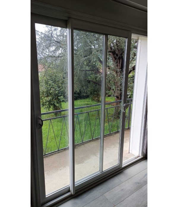 196x214 Baie vitrée ALU