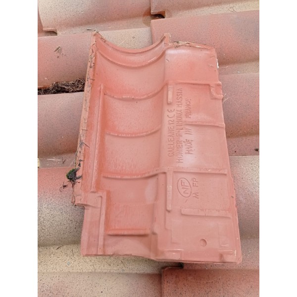 100m2 de tuiles 2012