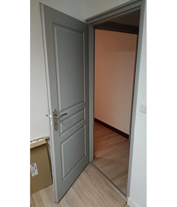 78x203 Porte pleine bois