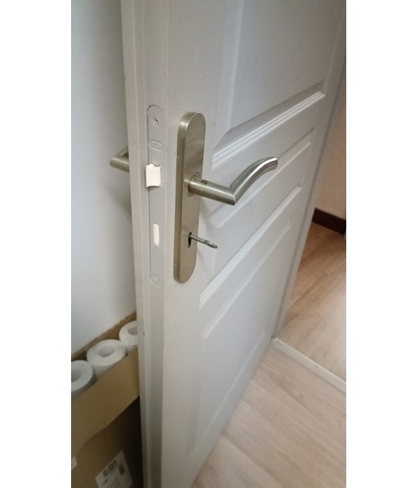 88x203 Porte pleine bois