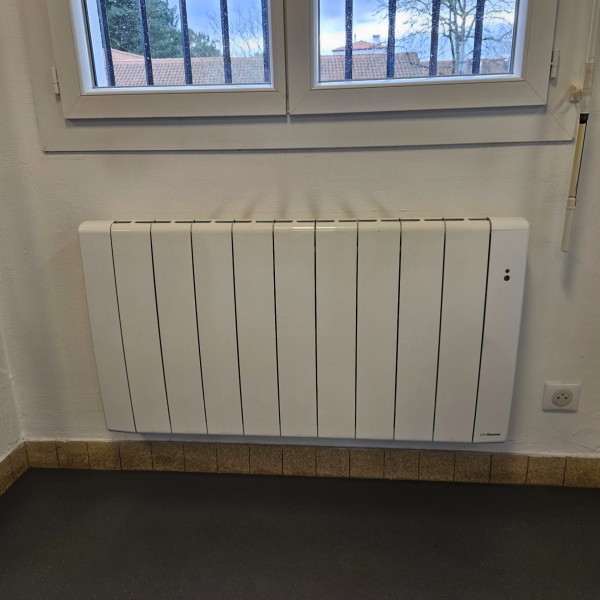 Radiateur électrique fluide