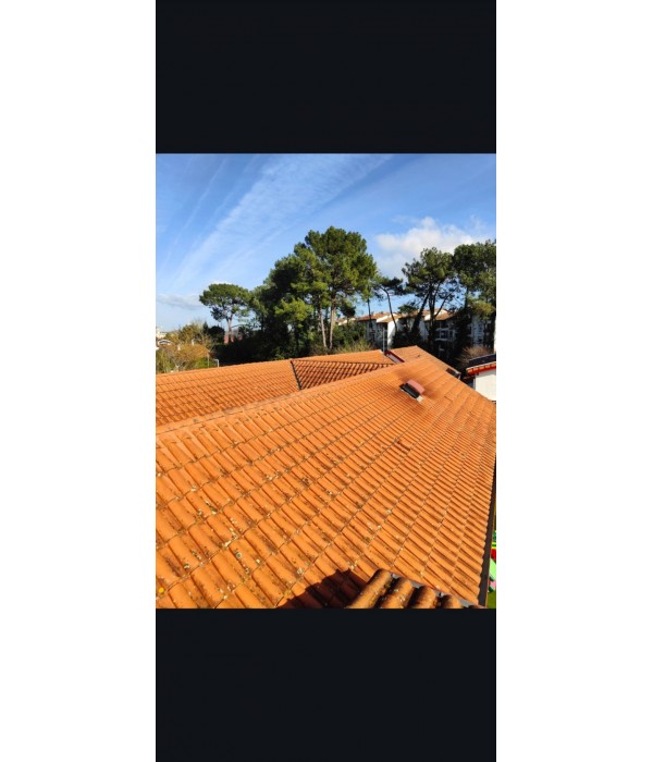 Tuile RECONDITIONNEE POUDENX (Année...