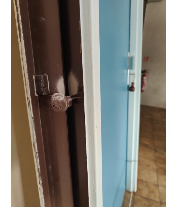 91x204 Porte palière