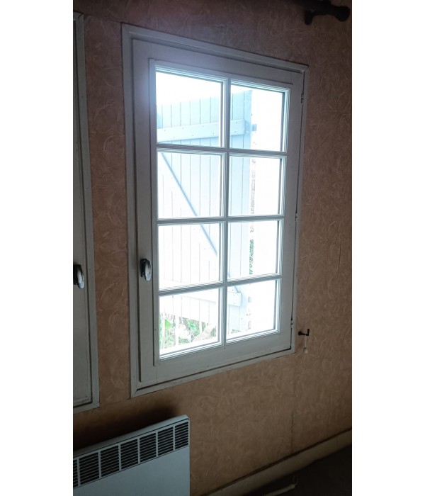 83x139 Fenêtre bois DV