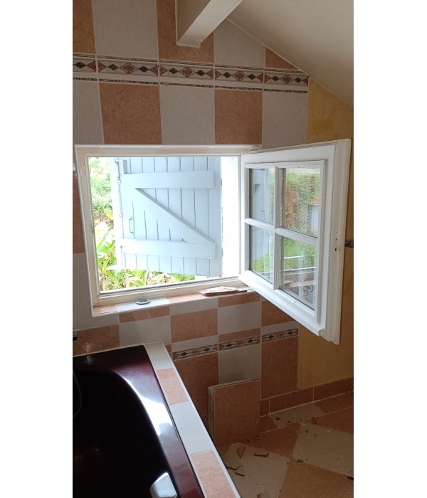 83x79 Fenêtre bois DV