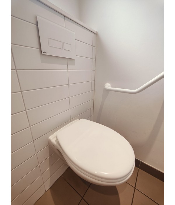 WC suspendu
