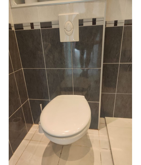 WC suspendu GROHE