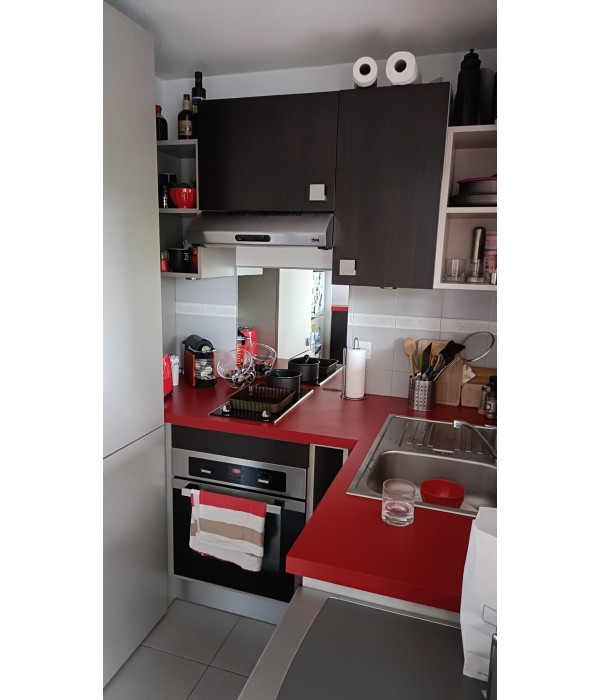 Cuisine avec plaque + comptoir (hors...