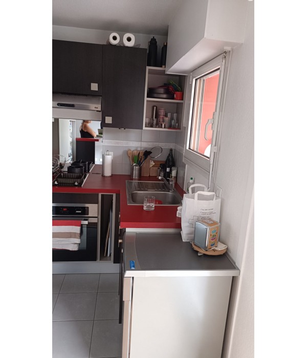 Cuisine avec plaque + comptoir (hors...